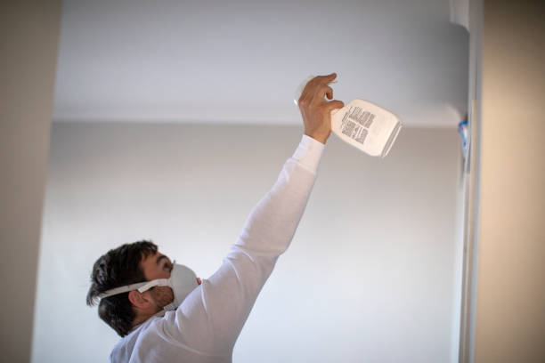 Best Emergency Mold Remediation in Mentone, CA