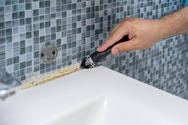 Best Residential Mold Remediation in Mentone, CA