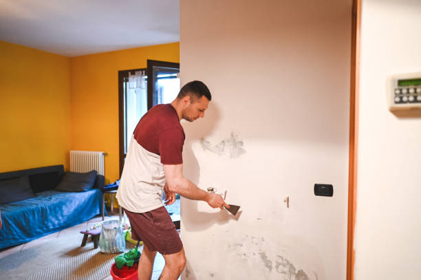 Best Post-Remediation Services in Mentone, CA