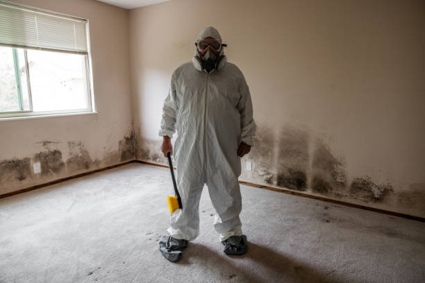 Best Bathroom Mold Remediation in Mentone, CA